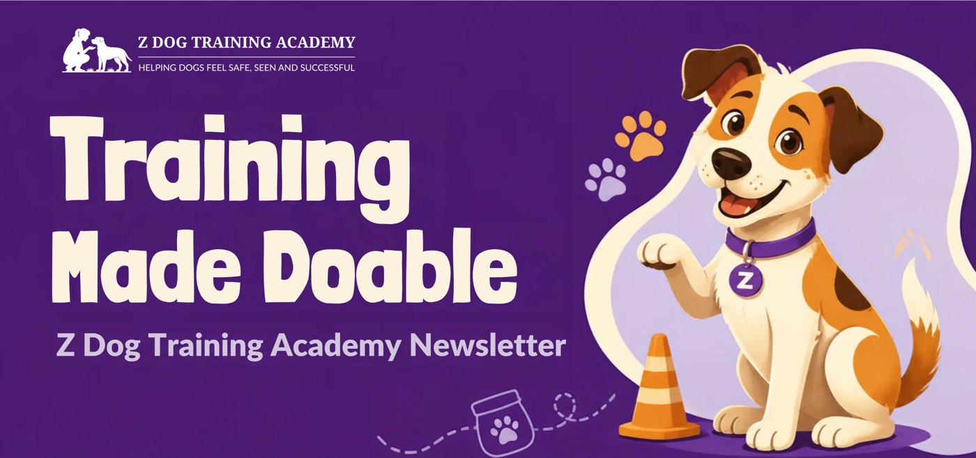 A Friendly Email Newsletter
